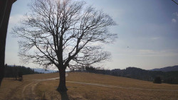 Bludný - Rajnochovice Troják 