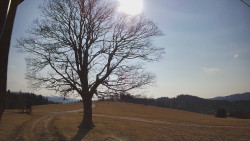 Bludný - Rajnochovice Troják