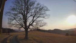 Bludný - Rajnochovice Troják