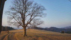 Bludný - Rajnochovice Troják 