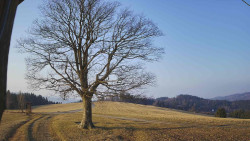 Bludný - Rajnochovice Troják 