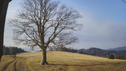 Bludný - Rajnochovice Troják