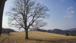 Bludný - Rajnochovice Troják 