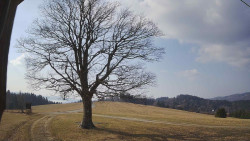 Bludný - Rajnochovice Troják 