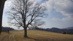 Bludný - Rajnochovice Troják 