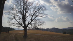 Bludný - Rajnochovice Troják