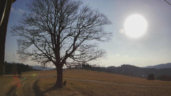 Bludný - Rajnochovice Troják