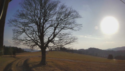 Bludný - Rajnochovice Troják 