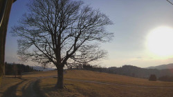 Bludný - Rajnochovice Troják 