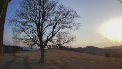 Bludný - Rajnochovice Troják