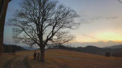 Bludný - Rajnochovice Troják