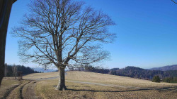 Bludný - Rajnochovice Troják