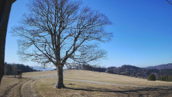 Bludný - Rajnochovice Troják 