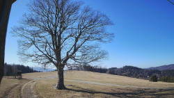 Bludný - Rajnochovice Troják 