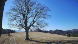 Bludný - Rajnochovice Troják 