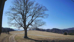 Bludný - Rajnochovice Troják 