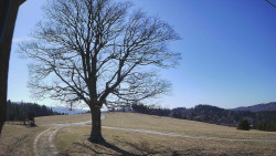 Bludný - Rajnochovice Troják 