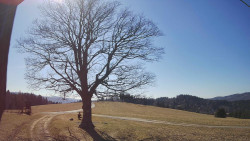 Bludný - Rajnochovice Troják 