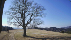 Bludný - Rajnochovice Troják 