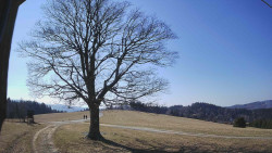 Bludný - Rajnochovice Troják 