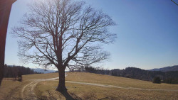 Bludný - Rajnochovice Troják 