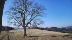 Bludný - Rajnochovice Troják 