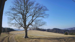 Bludný - Rajnochovice Troják 