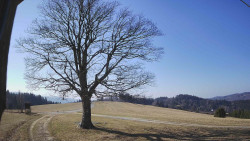 Bludný - Rajnochovice Troják 