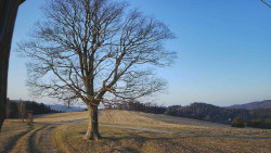 Bludný - Rajnochovice Troják 