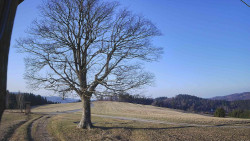 Bludný - Rajnochovice Troják 