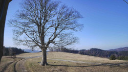 Bludný - Rajnochovice Troják 