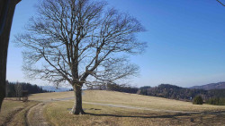 Bludný - Rajnochovice Troják 