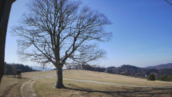 Bludný - Rajnochovice Troják 