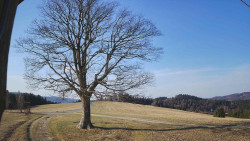 Bludný - Rajnochovice Troják 