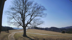 Bludný - Rajnochovice Troják 