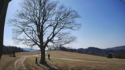 Bludný - Rajnochovice Troják 