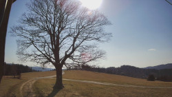 Bludný - Rajnochovice Troják