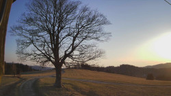 Bludný - Rajnochovice Troják 