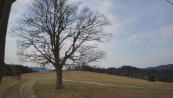 Bludný - Rajnochovice Troják 