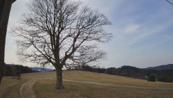 Bludný - Rajnochovice Troják 