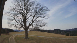 Bludný - Rajnochovice Troják 