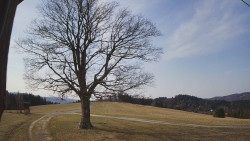 Bludný - Rajnochovice Troják 