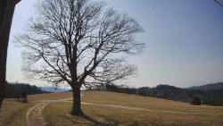 Bludný - Rajnochovice Troják 