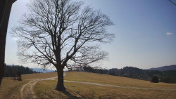 Bludný - Rajnochovice Troják 