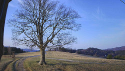 Bludný - Rajnochovice Troják 