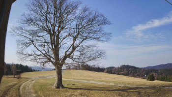 Bludný - Rajnochovice Troják