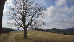 Bludný - Rajnochovice Troják 