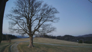 Bludný - Rajnochovice Troják - Bludný - Rajnochovice Troják  - 14.3.2026 v 05:30