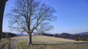 Bludný - Rajnochovice Troják - Bludný - Rajnochovice Troják  - 14.3.2026 v 07:30