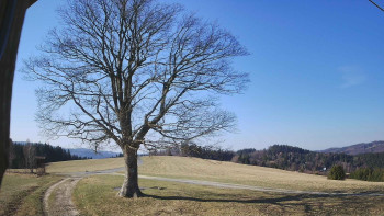 Bludný - Rajnochovice Troják